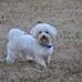 Lorraine Kendall - Facebook