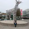 Lorraine Kerr - @lorrainekerr5 - TikTok