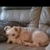 Lorraine Kerr - Facebook
