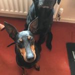 Lorraine Kirk - @lorrainek77744 - Instagram