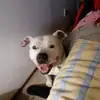 Lorraine Kirk - @lorraine.kirk7 - TikTok