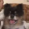 user9045547350806 - @lorraine_kirk - TikTok
