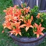 Lorraine Knight - @jloknight57 - Instagram