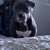 Lorraine Knight - Facebook