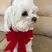Lorraine Knight - Facebook