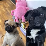 Lorraine Knox - @lorraineruding - Instagram