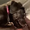 lorraineknox927 - @lorraineknox927 - TikTok