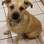 Lorraine Koch - @lorraine.koch.127 - Instagram