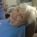 Lorraine Kramer - Facebook