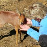 Lorraine Slabbert - @lorraine.slabbert.16 - Instagram