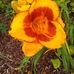 Lorraine Labonte - Facebook