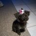 Lori Lamont - Facebook