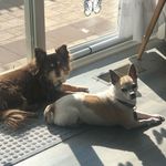 Lorraine LaMonte - @lorrainelamonte - Instagram