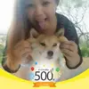 Lorraine LI - @lorraineli0908 - TikTok