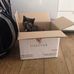 Lorraine - forever loving 'forever living' - Facebook