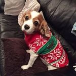 Lorraine Lowery - @lorraine.lowery1 - Instagram