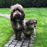 Lorraine Mace - @lorraine_murphy_mabel - Instagram