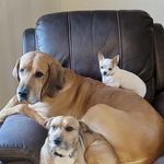 Carol Lorraine Magee - @2travelinveterans - Instagram
