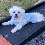 Lorraine Magee - @taffymagee - Instagram