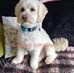 Lorraine Magee - Facebook