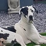 Lorraine Mallon - @lorraine.mallon.75 - Instagram