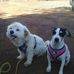 Lorraine Malone - Facebook