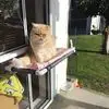 Lorraine Malone - @lorraine.malone83 - TikTok