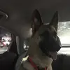Lorraine Maresca - @lorraine.maresca - TikTok