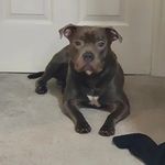 Lorraine Markey - @lorrainemarkey - Instagram