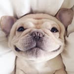 Lorraine Markey - @lbogardusl - Instagram