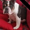 Lorraine Markey - @lorraine.markey - TikTok