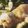Lorraine Marriott - @lorraine.marriott - TikTok