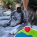 Lorraine Masterson - Facebook