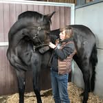 Coppermead Equestrian Services - @lorraine_ces_masterson - Instagram