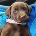 Lorraine Mastersmith - Facebook