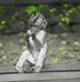 Lori Mcavoy - Facebook