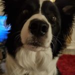 Lorraine McBride - @lorraine.mcbride.752 - Instagram