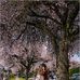 Loraine Mcdowell - Facebook