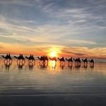 Lorraine McDowell - @lorraine.mcdowell.902 - Instagram