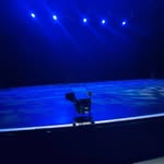 Lorraine McGregor - @utopiaispretty - Instagram