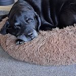 Lorraine McGregor - @lorraine.mcgregor.10 - Instagram