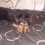 Lorraine McGregor - @lorraine.maxwell3 - Instagram