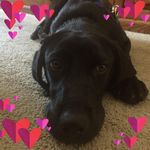 Lorraine McManus - @lorrainemcmanus_realtor - Instagram