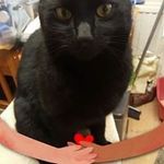 Lorraine Mcqueen - @lorraine.mcqueen.3 - Instagram