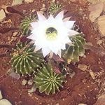 Lorraine Meyer - @lorraine.meyer.75 - Instagram