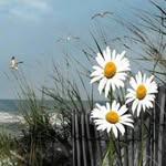 Lorraine Moreau - @jemesouviens2024 - Instagram