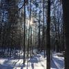 lorrainemoreau255 - @lorrainemoreau255 - TikTok