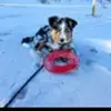 lorrainemosley - @lorrainemosley0 - TikTok
