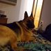 Lori Neumann - Facebook