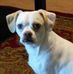 Lori Neumann - Facebook